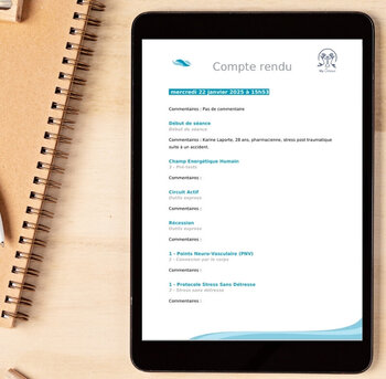 Compte rendu / Bilan de session